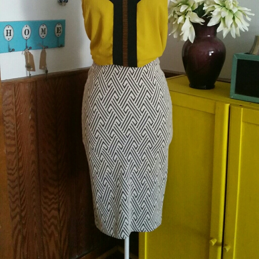 Pencil Skirt